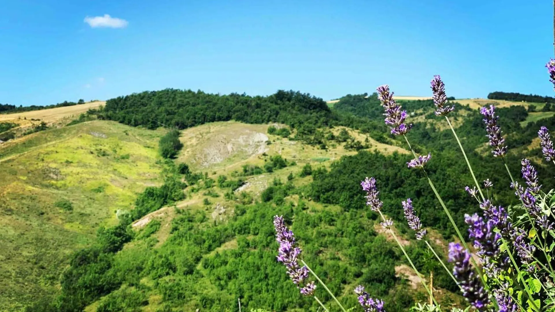 Elegant Apartment With Mountain View In Monte San Pietro + Pool Italy